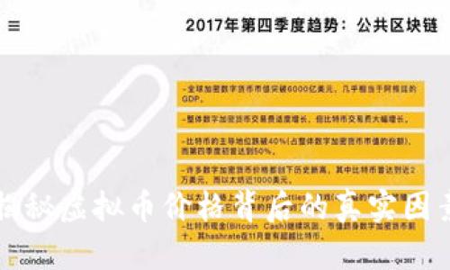揭秘虚拟币价格背后的真实因素
