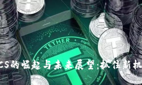 2023年虚拟币XCS的崛起与未来展望：抓住新机会，拥抱数字财富