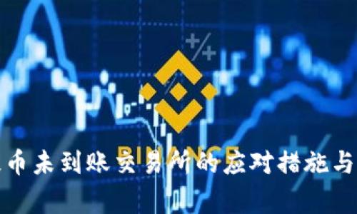 TP钱包提币未到账交易所的应对措施与注意事项