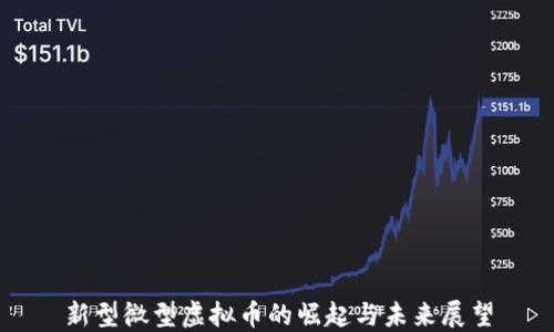
新型微型虚拟币的崛起与未来展望