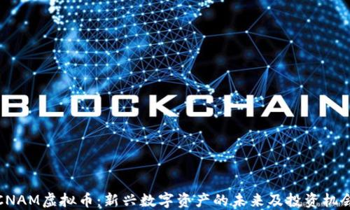 
CNAM虚拟币：新兴数字资产的未来及投资机会