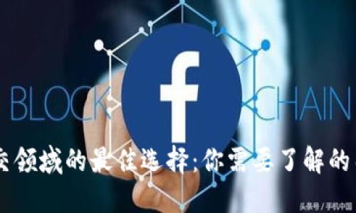虚拟币社交领域的最佳选择：你需要了解的几种社交币