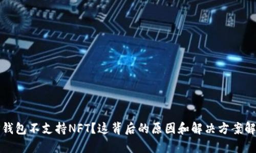 TP钱包不支持NFT？这背后的原因和解决方案解析