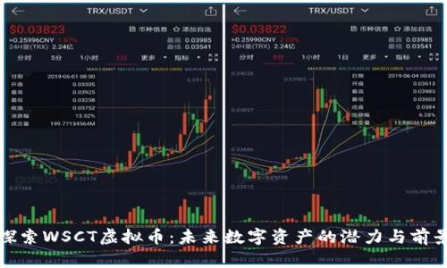 探索WSCT虚拟币：未来数字资产的潜力与前景