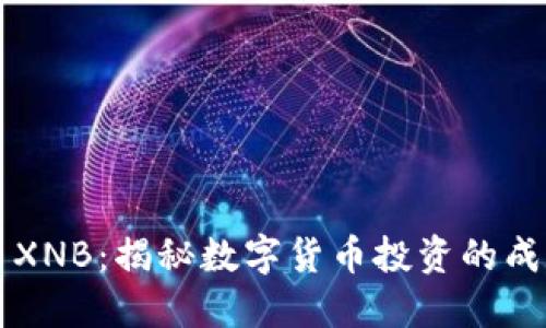 虚拟币XNB：揭秘数字货币投资的成功秘诀