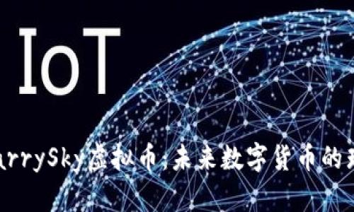探秘StarrySky虚拟币：未来数字货币的璀璨之星