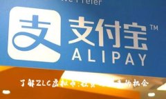 了解ZLC虚拟币：投资与未来的机会
