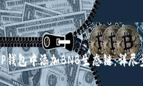 如何在TP钱包中添加BNB生态链：详尽步骤指南