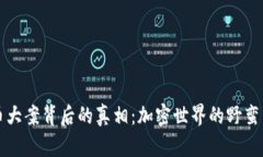 揭开虚拟币大案背后的真相：加密世界的野蛮成