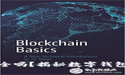 TP钱包里的钱安全吗？揭秘数字钱包的安全性与风险