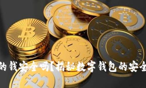 TP钱包里的钱安全吗？揭秘数字钱包的安全性与风险