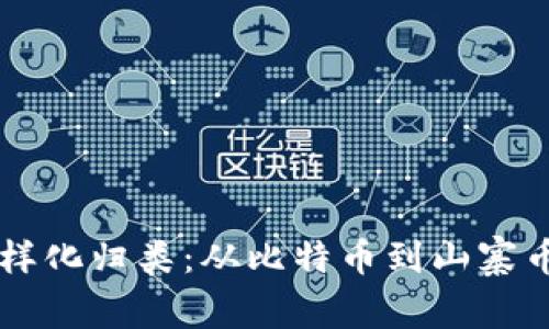 虚拟币的多样化归类：从比特币到山寨币的全景解析
