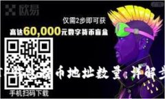 如何查询TP钱包持币地址数量：详解步骤与技巧