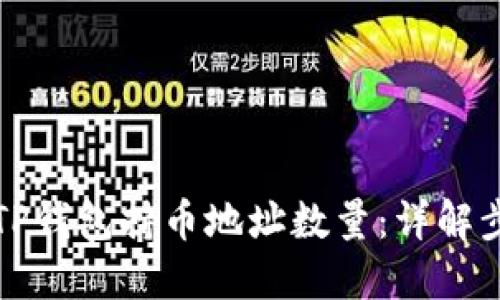 如何查询TP钱包持币地址数量：详解步骤与技巧
