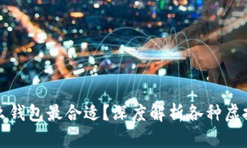 买虚拟币用什么钱包最合适？深度解析各种虚拟币钱包的优劣