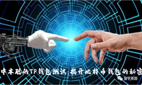 中本聪的TP钱包测试：揭开比特币钱包的秘密