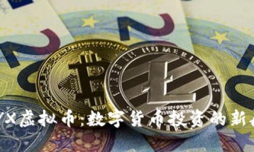 CNYX虚拟币：数字货币投资的新航向