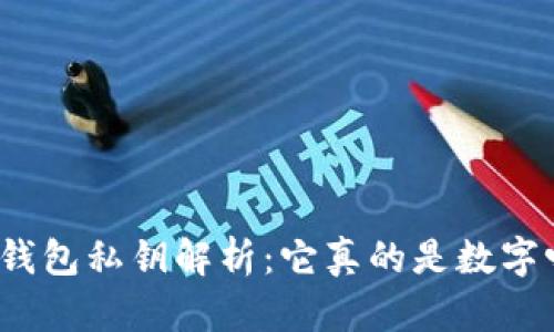 TP钱包私钥解析：它真的是数字吗？