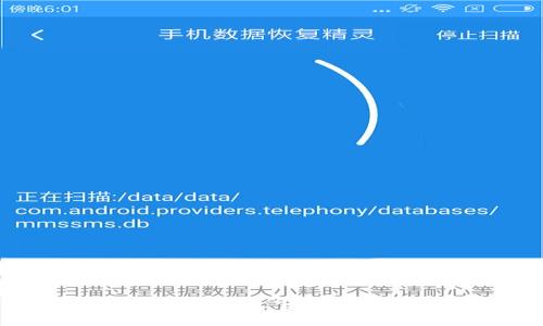 TP钱包私钥解析：它真的是数字吗？
