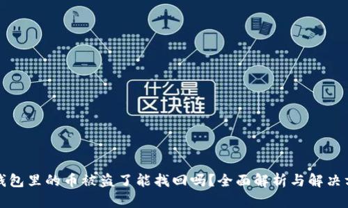 TP钱包里的币被盗了能找回吗？全面解析与解决方案