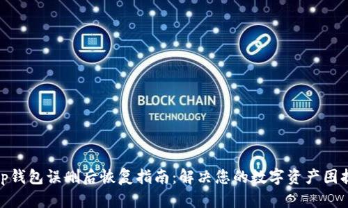 tp钱包误删后恢复指南：解决您的数字资产困扰