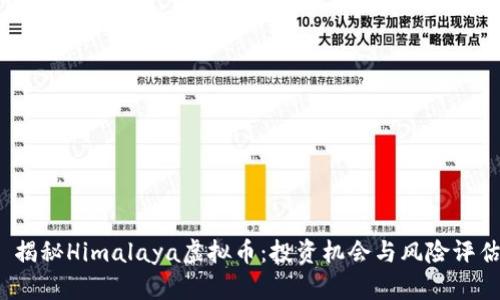  揭秘Himalaya虚拟币：投资机会与风险评估