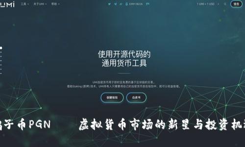 鸽子币PGN——虚拟货币市场的新星与投资机遇