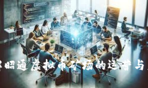 深入了解昭通虚拟币矿场的运营与未来趋势
