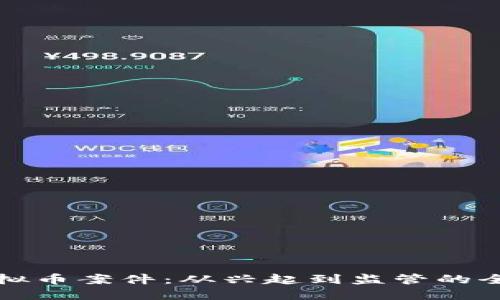 南宁虚拟币案件：从兴起到监管的全景透视