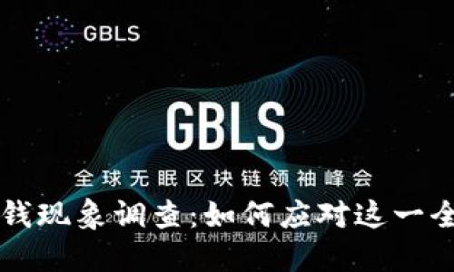 虚拟币洗钱现象调查：如何应对这一全球性挑战