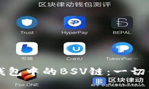 深入了解TP钱包中的BSV链：一切你需要知道的