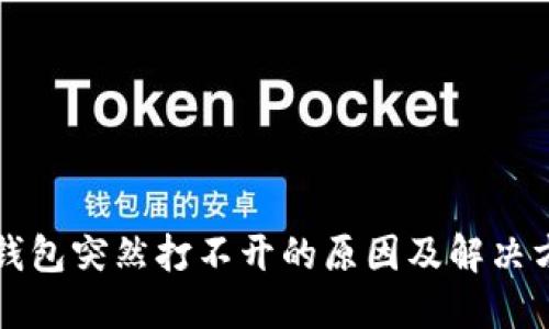 TP钱包突然打不开的原因及解决方法