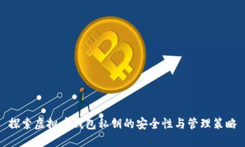 探索虚拟币钱包私钥的安全性与管理策略