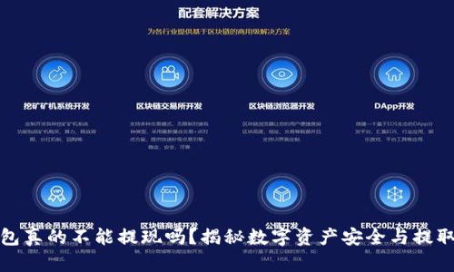 TP钱包真的不能提现吗？揭秘数字资产安全与提取策略