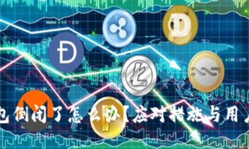 TP钱包倒闭了怎么办？应对措施与用户指南