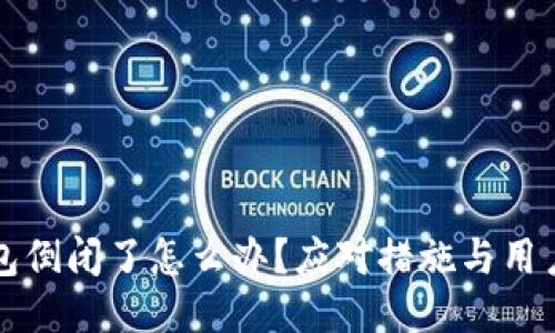 TP钱包倒闭了怎么办？应对措施与用户指南