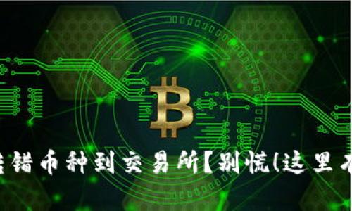 从TP钱包转错币种到交易所？别慌！这里有解决方案！
