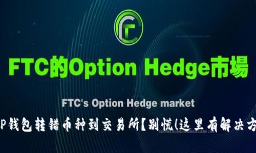 从TP钱包转错币种到交易所？别慌！这里有解决方案！