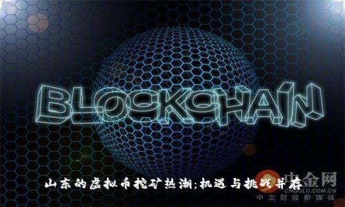 山东的虚拟币挖矿热潮：机遇与挑战并存