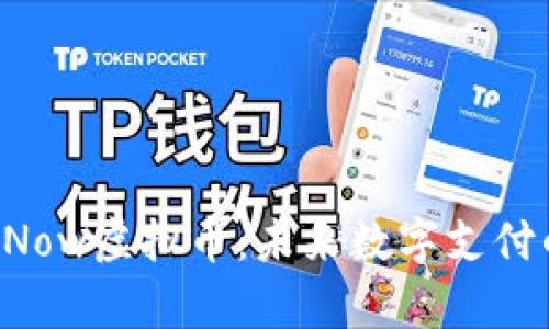 揭秘PayNow虚拟币：未来数字支付的新选择