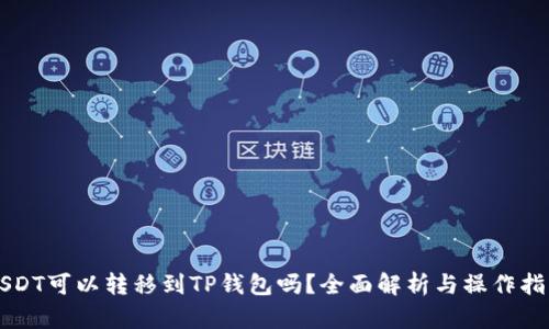 USDT可以转移到TP钱包吗？全面解析与操作指南