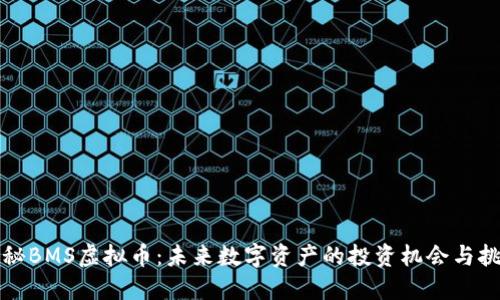 揭秘BMS虚拟币：未来数字资产的投资机会与挑战