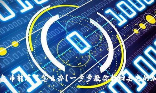 TP钱包币转丢了怎么办？一步步教你找回丢失的加密币