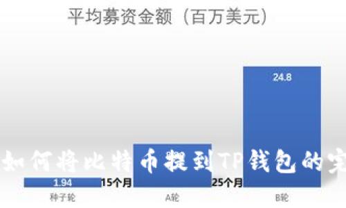 中本聪如何将比特币提到TP钱包的完整指南
