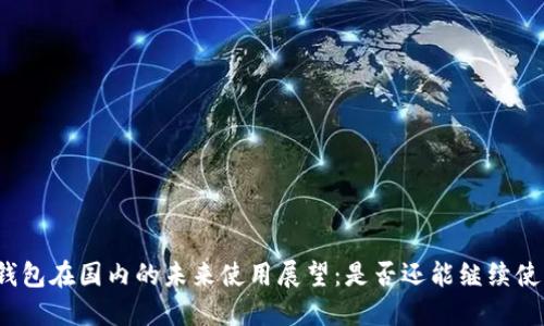 TP钱包在国内的未来使用展望：是否还能继续使用？