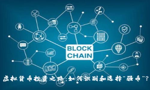 虚拟货币投资之路：如何识别和选择“骚币”?