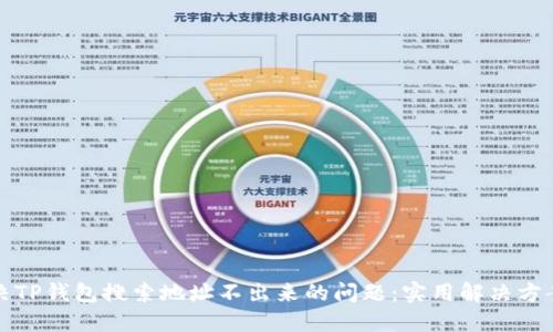如何解决TP钱包搜索地址不出来的问题：实用解决方案与技巧