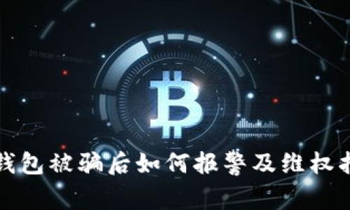 TP钱包被骗后如何报警及维权指南
