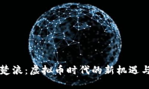 重生楚浪：虚拟币时代的新机遇与挑战