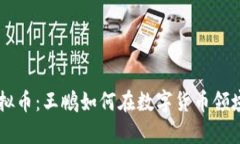区块链虚拟币：王鹏如何在数字货币领域崭露头